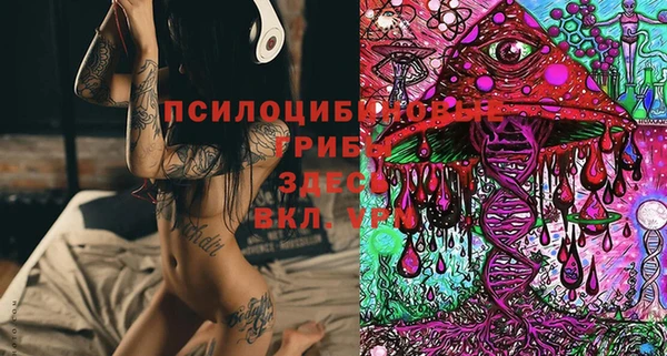 mdpv Лихославль