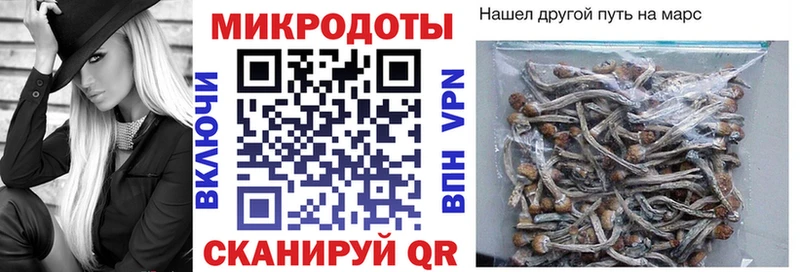 Псилоцибиновые грибы Psilocybe  Купить закладки  Среднеколымск 